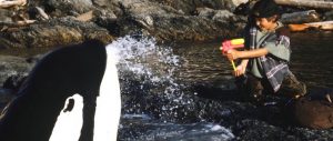 Free Willy 2_header